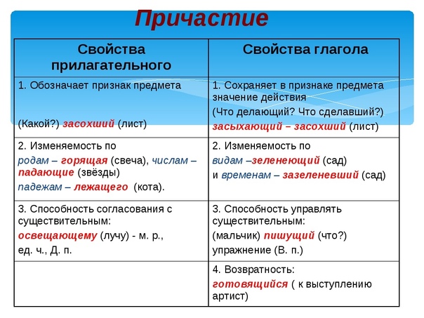 Причастие | студцентр