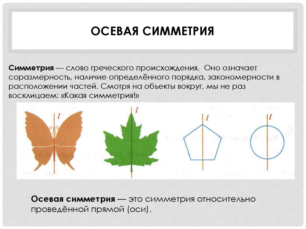 Ось симметрии в 3 классе: что это такое и как использовать правило