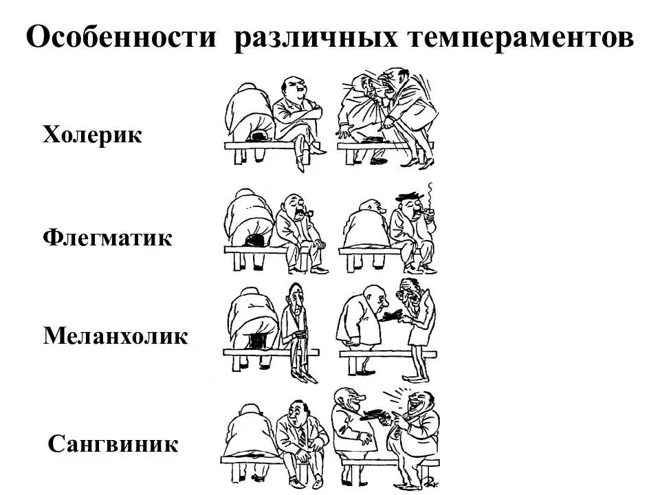 Типы темперамента