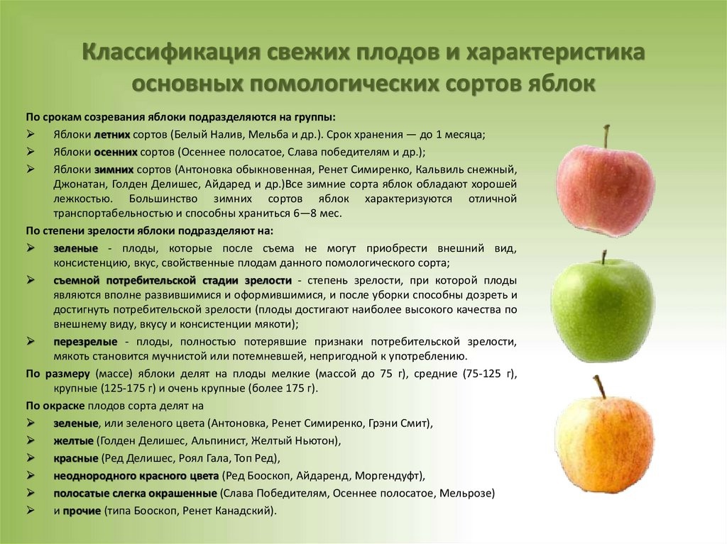 Помология - это наука, посвященная изучению плодовых деревьев и кустарников В рамках этой науки исследуются такие важные аспекты, как сорта, генетическая