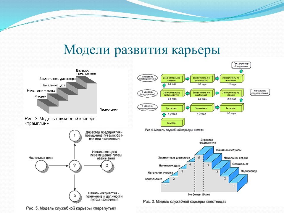 Что такое профессиональный статус работника? - povsem.ru