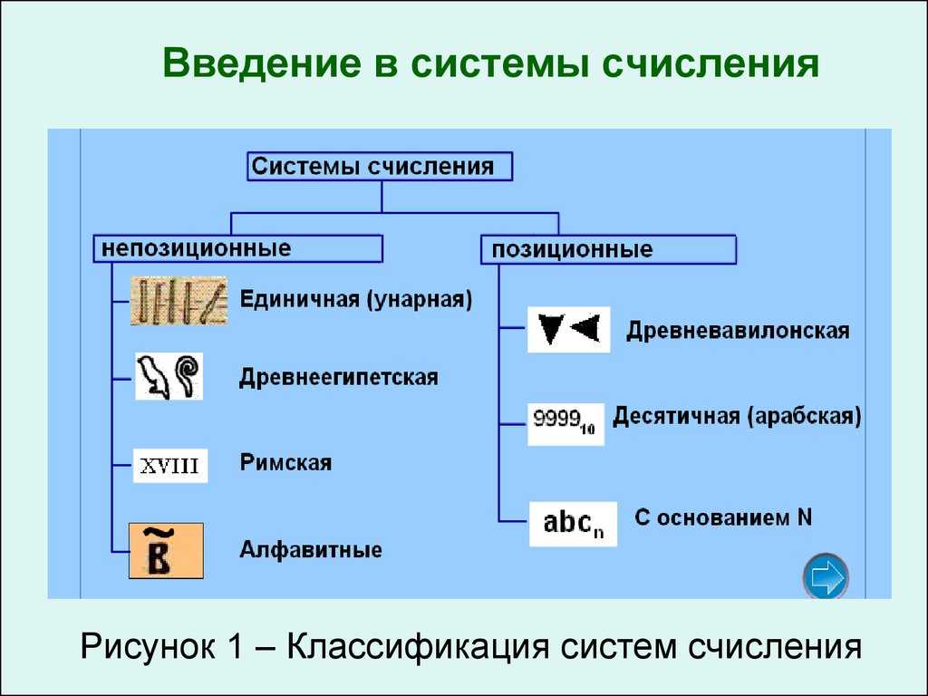 Перевод систем счисления онлайн