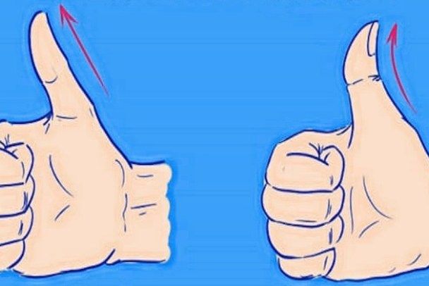«могут ли социальные сети заменить реальное общение»: 8 сочинений для егэ 2024 года