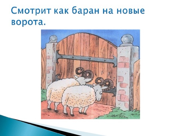 Упертый баран