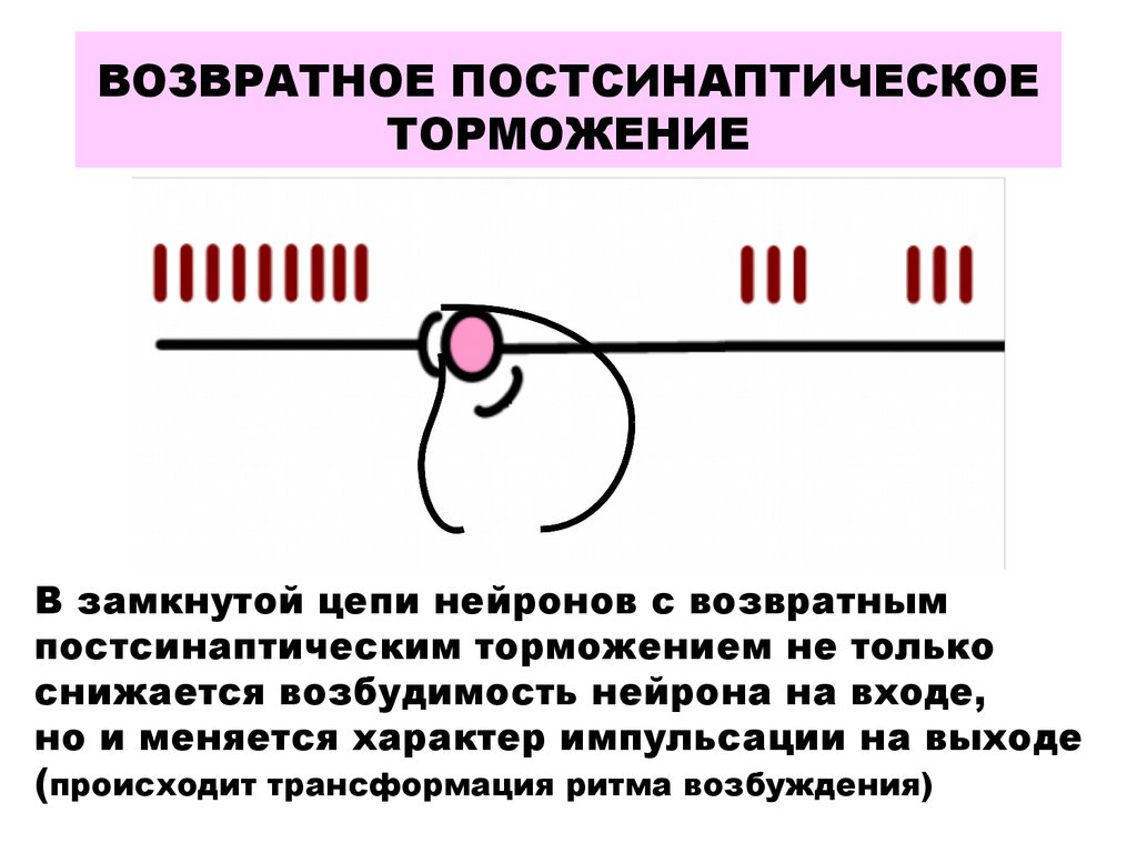 Как понять, что девушка возбуждена: 100% признаки