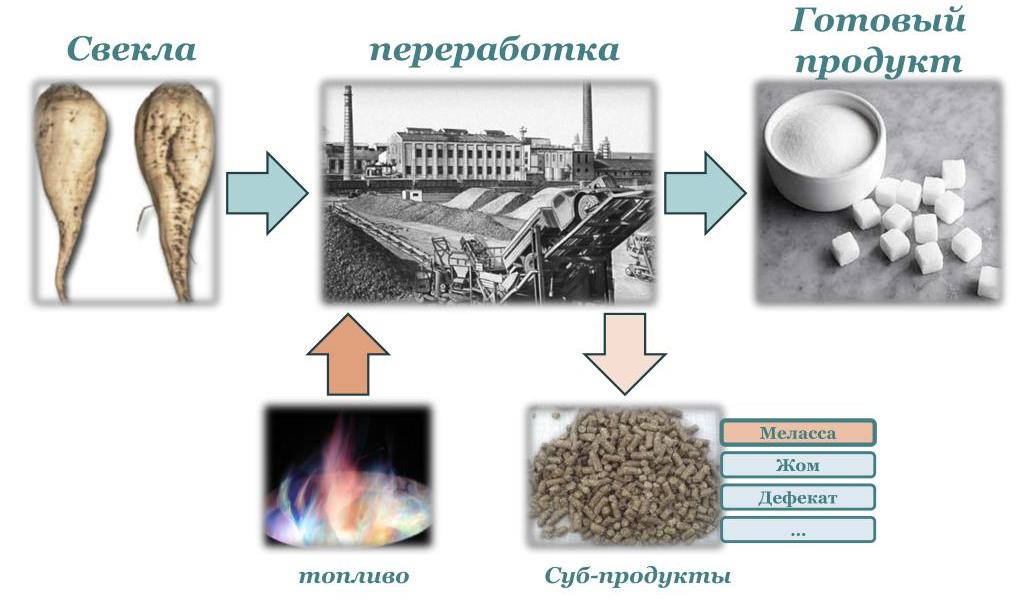 Сахарозаменители: какой лучше, типы заменителей сахара, польза и вред
