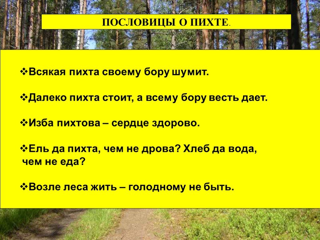 Значение пословицы "где сосна взросла, там она и красна": смысл (5 видео)