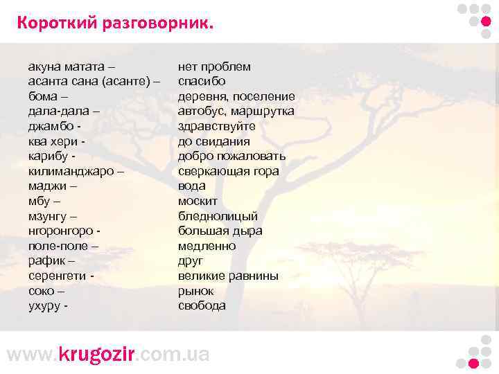 Песня акуна матата - текст песни и перевод на русский