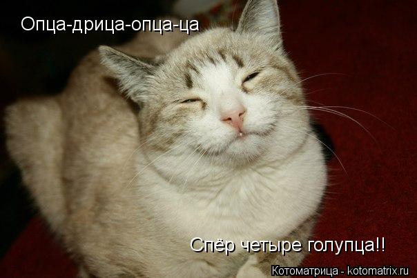 Что означает выражение "ламца дрица гоп цаца"?