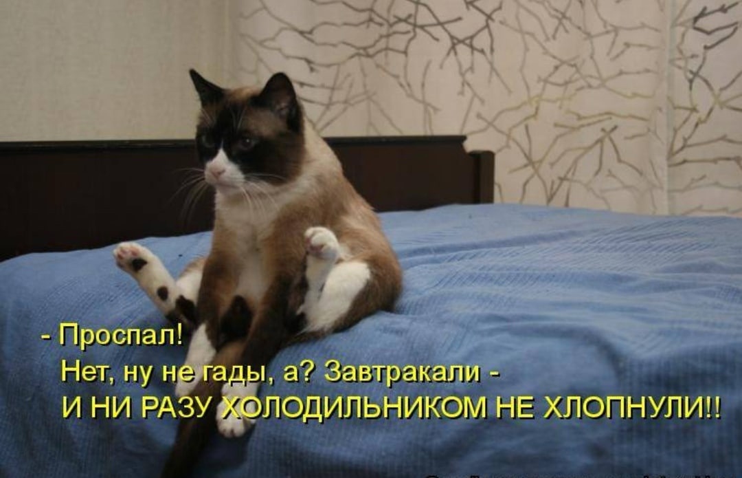 Семантика — что это такое простыми словами