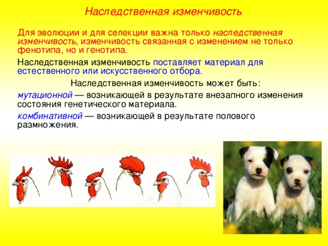 Вопрос-ответ | контент-платформа pandia.ru