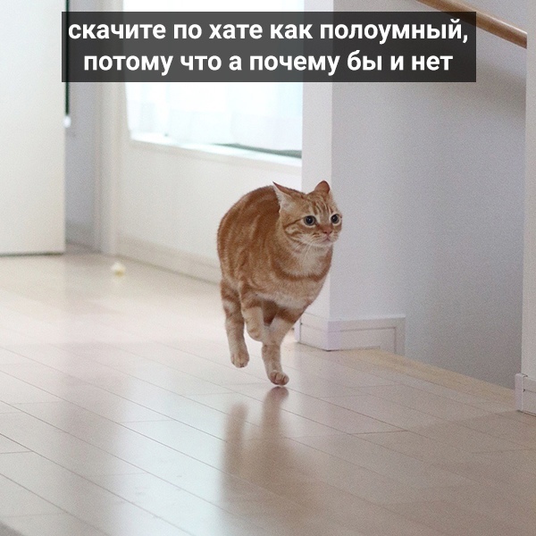 Сказание былины о тыгыдымском коне (научный стиль описания) — wiki портал иро
