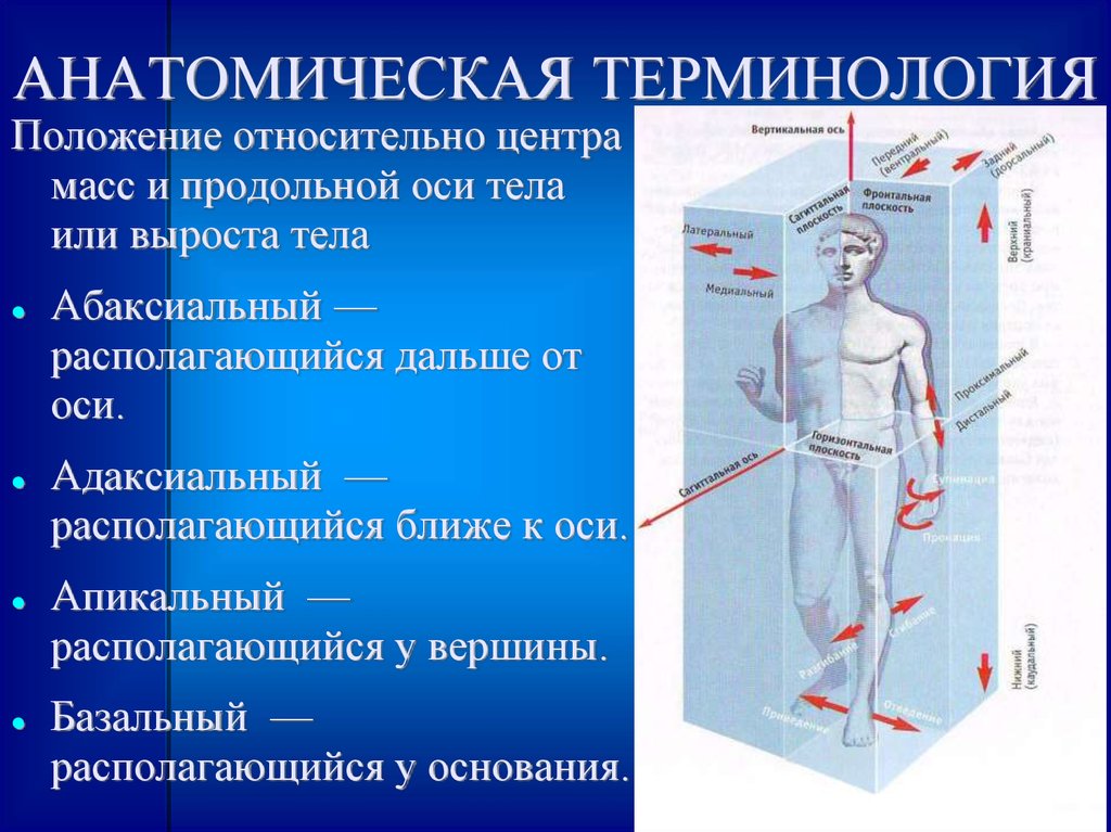 Чем отличается реализм, модернизм, постмодернизм в литературе ?