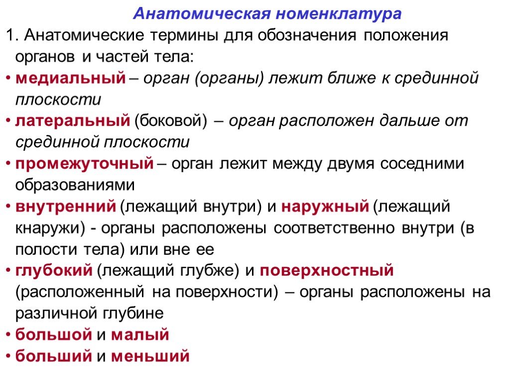 Диалог культур: определение, уровни, примеры