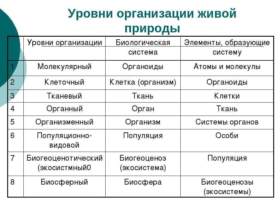 Репродуктивная функция и индивидуальное развитие человека