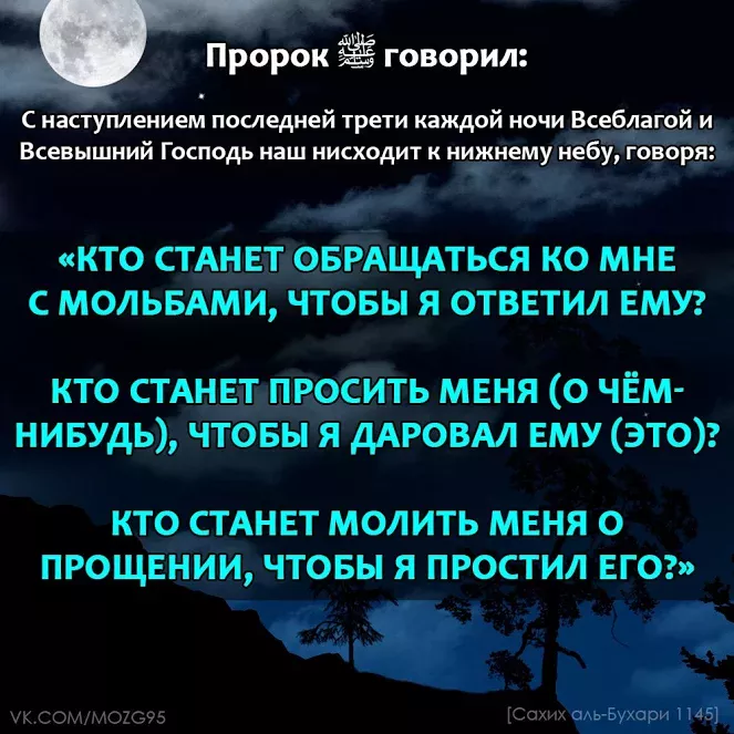 Что такое ракаат (ракат), такбир, руку, саджда, ташаххуд, таслим в намазе