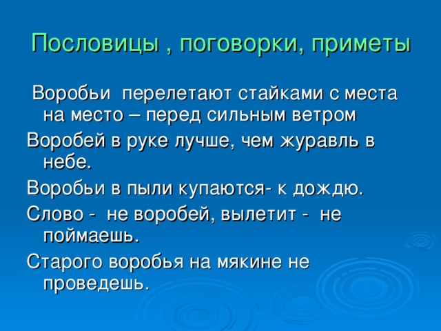 Богомол охотится на цикаду не замечая притаившегося чижа значение пословицы
