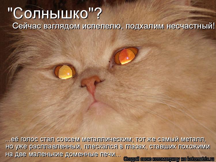Испепели меня взглядом: что это значит и как понять?