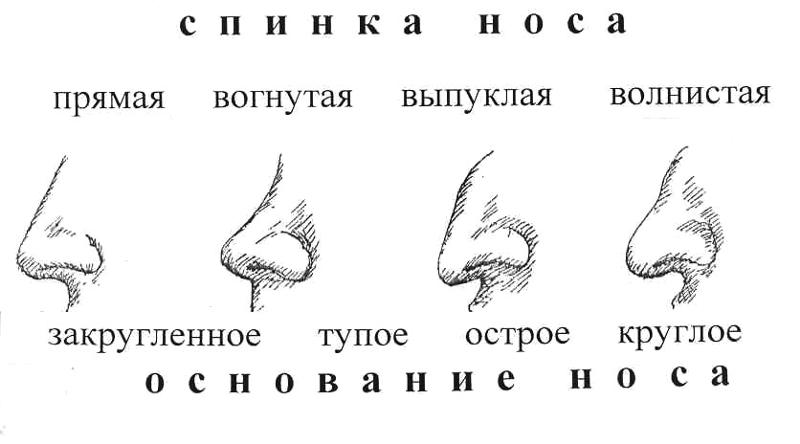 Как определить характер по чертам лица. физиогномика с картинками