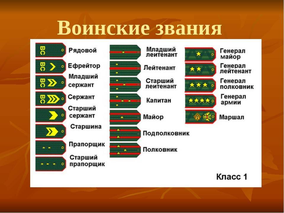 Разбираемся в воинских званиях. кто старше майор или лейтенант - uhistory.ru