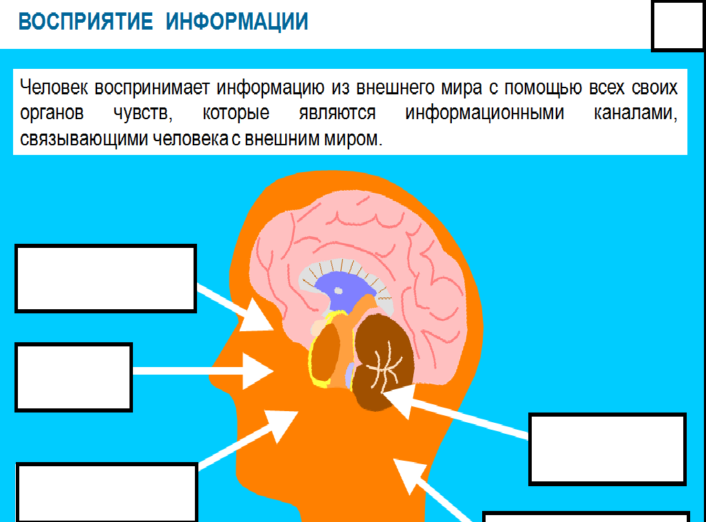 Как получить информацию