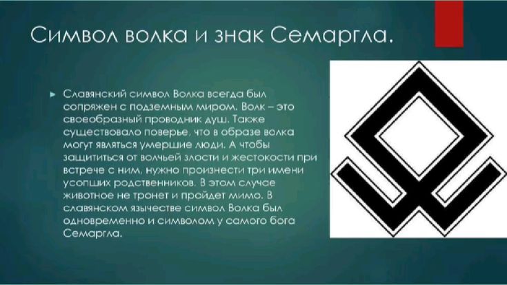 Значение волчьего воя: что означает вой волка и его символика
