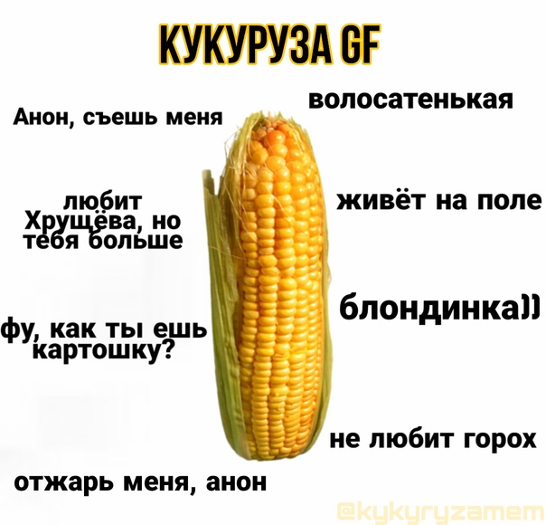 Что означает фраза казус кукоцкого и как его понять