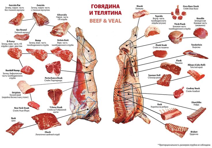 Теория цвета: смешение цветов