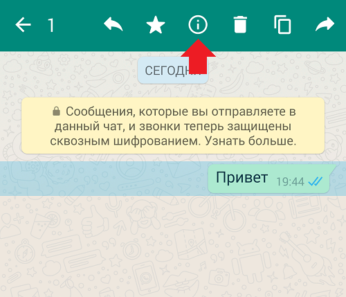 Что означают галочки в whatsapp? значки в whatsapp: одна и две галочки, звездочка, часы, восклицательный знак