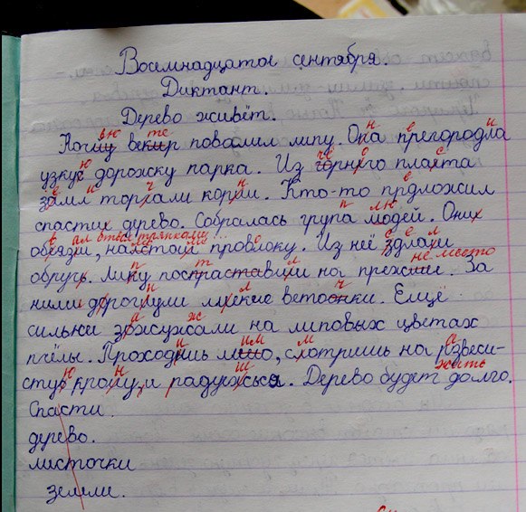 Общероссийский диктант по русскому языку 2023: условия участия и подготовка