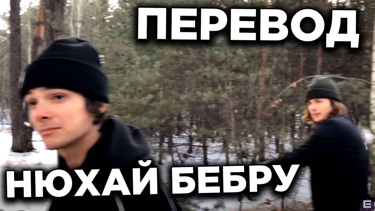 Что значит выражение нюхай бедру