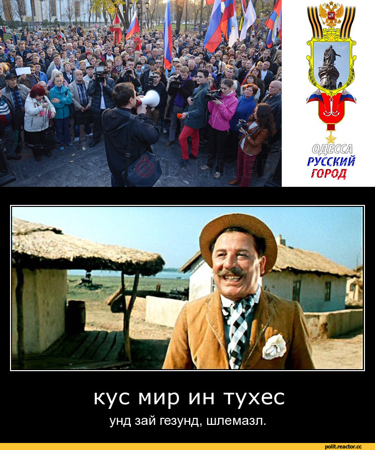 Что значит зай гезунд: значение и происхождение выражения