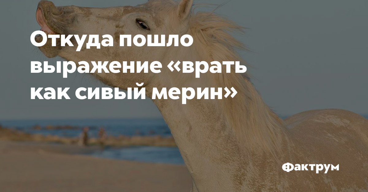 Откуда пошло выражение коня привязать