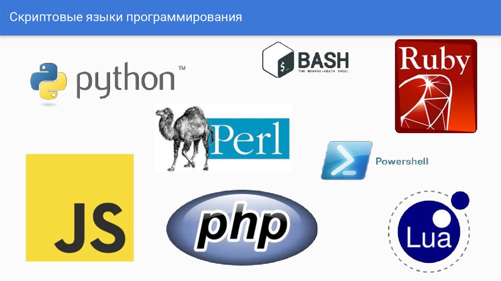 Работа по скрипту: что это такое и как работать по нему