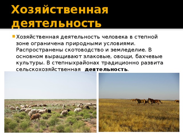 Хозяйственный человек: понятие и особенности