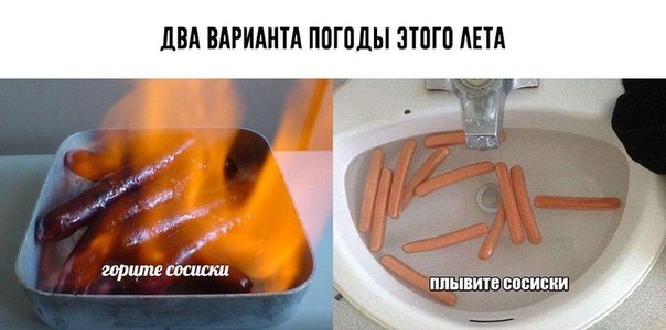 Плыву в украину кролик мем | 22 кота