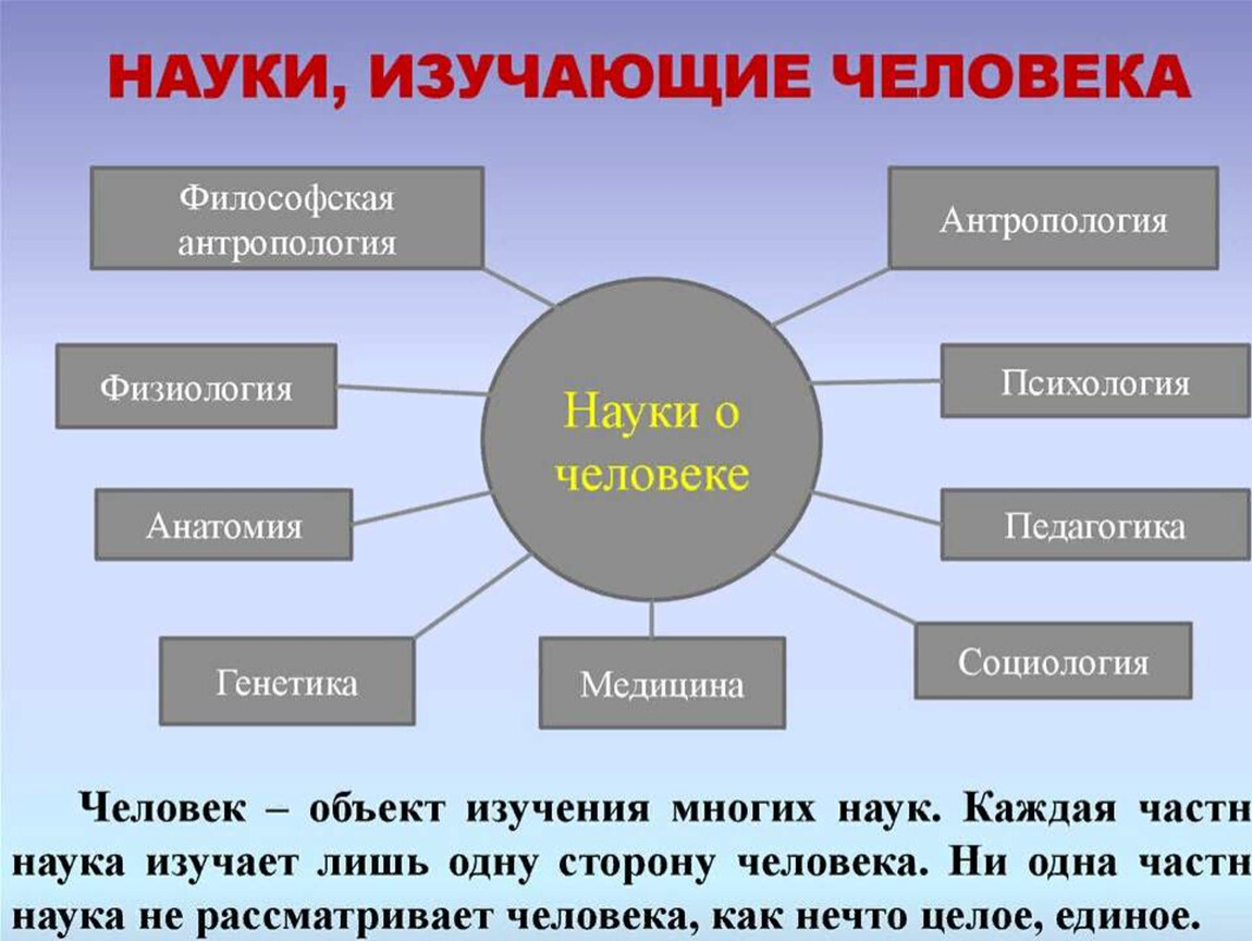Анатомическая зона при узи: понимание сущности