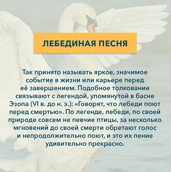 «пан или пропал»: происхождение и значение известного фразеологизма