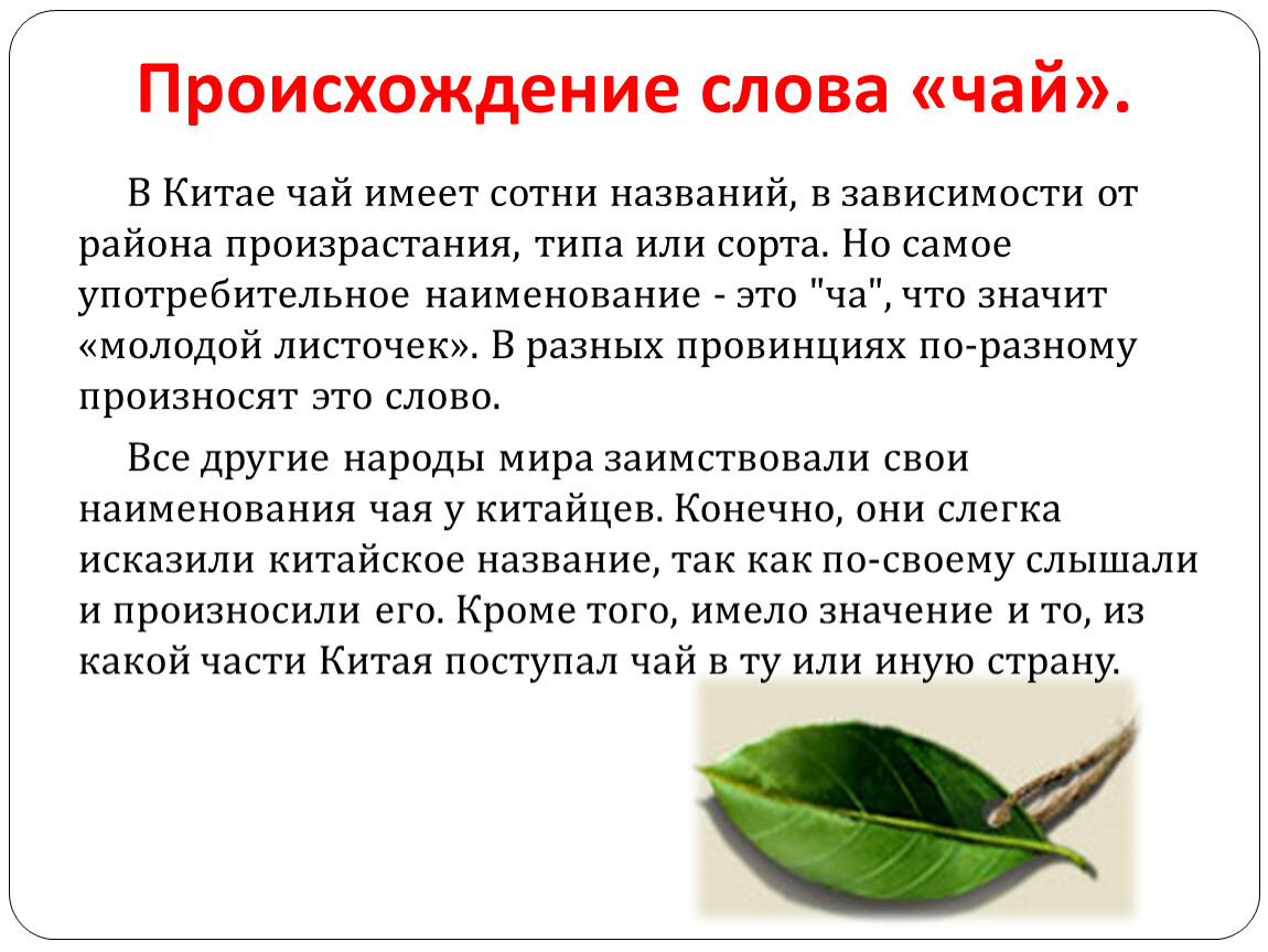 Традиции и история английского чаепития: узнайте все о британской любви к чаю
