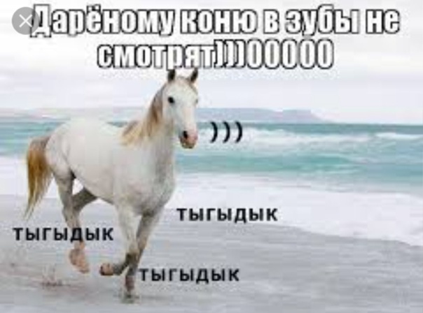Вы наверняка слышали выражение тыгыдык и вряд ли остались равнодушными к его звучанию Это слово является частью фольклорного словаря и приобрело