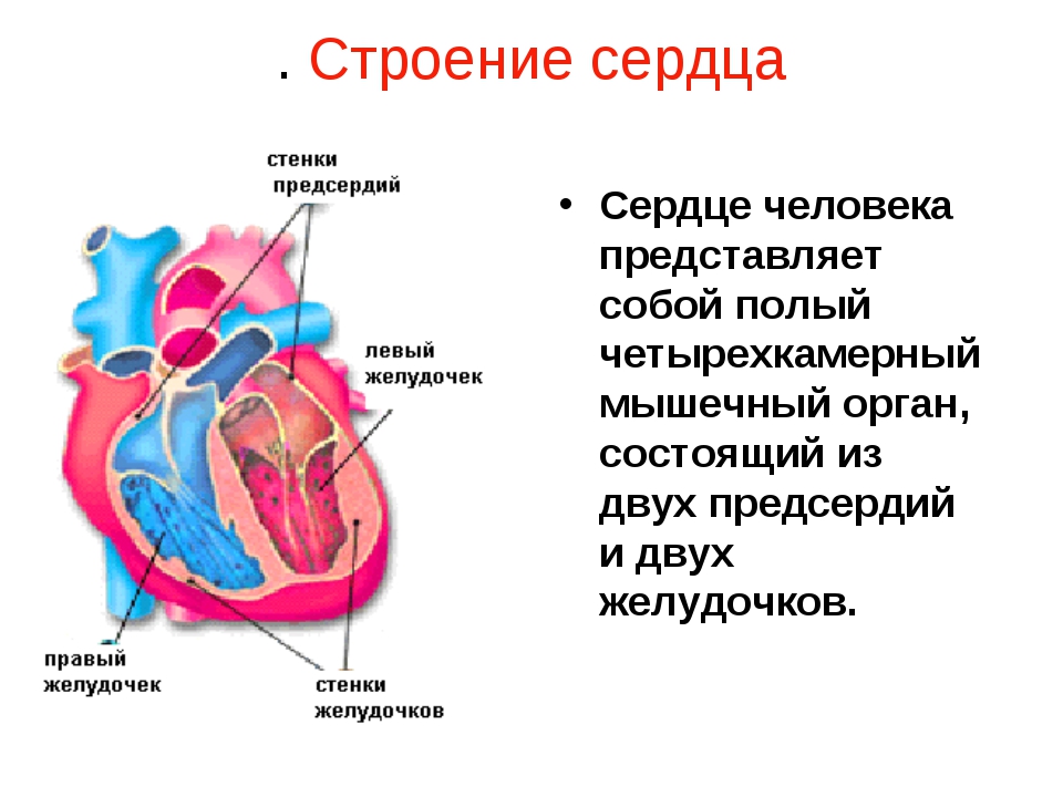 Как слова влияют на качество нашей жизни, здоровье и судьбу