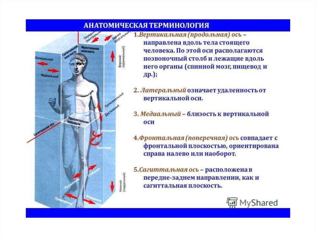 Методы дистанционного обучения — принципы и эффективности стандарта обучения, развитие и системы внедрения