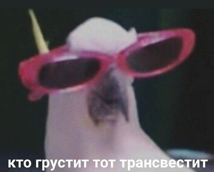 Кто грустит, тот трансвестит: раскрытие смысла и значения термина