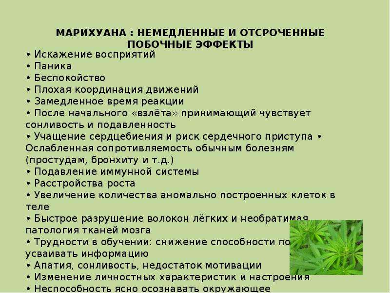 Что будет, если курить гашиш: последствия употребления