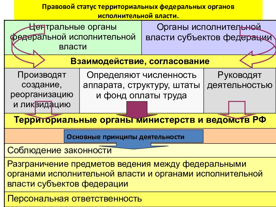 Территориальные органы исполнительной власти: структура, полномочия, цели и задачи