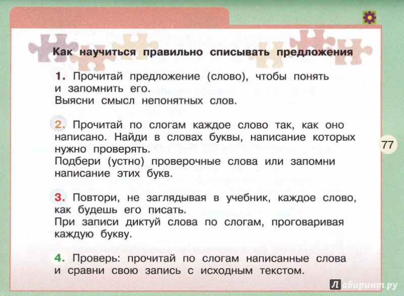 Слово года – 2024: кто такие «скуфы» и «альтушки», что такое «чиназес»