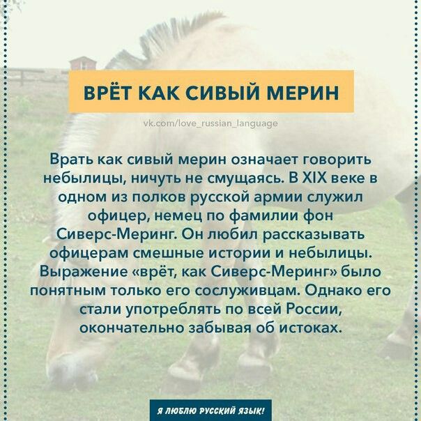 Почему «на обиженных воду возят» и что «вилами по воде писано»: история популярных выражений из прошлого