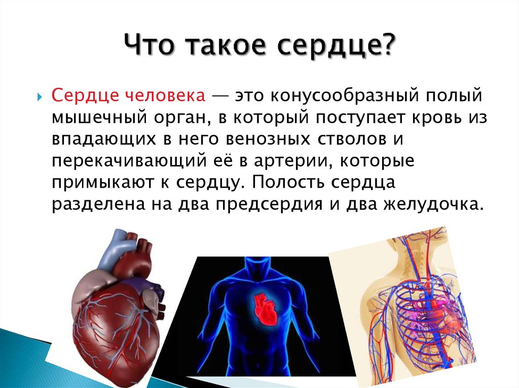 Фразеологизм вкладывать душу, значение и происхождение​ - узнавалка.про