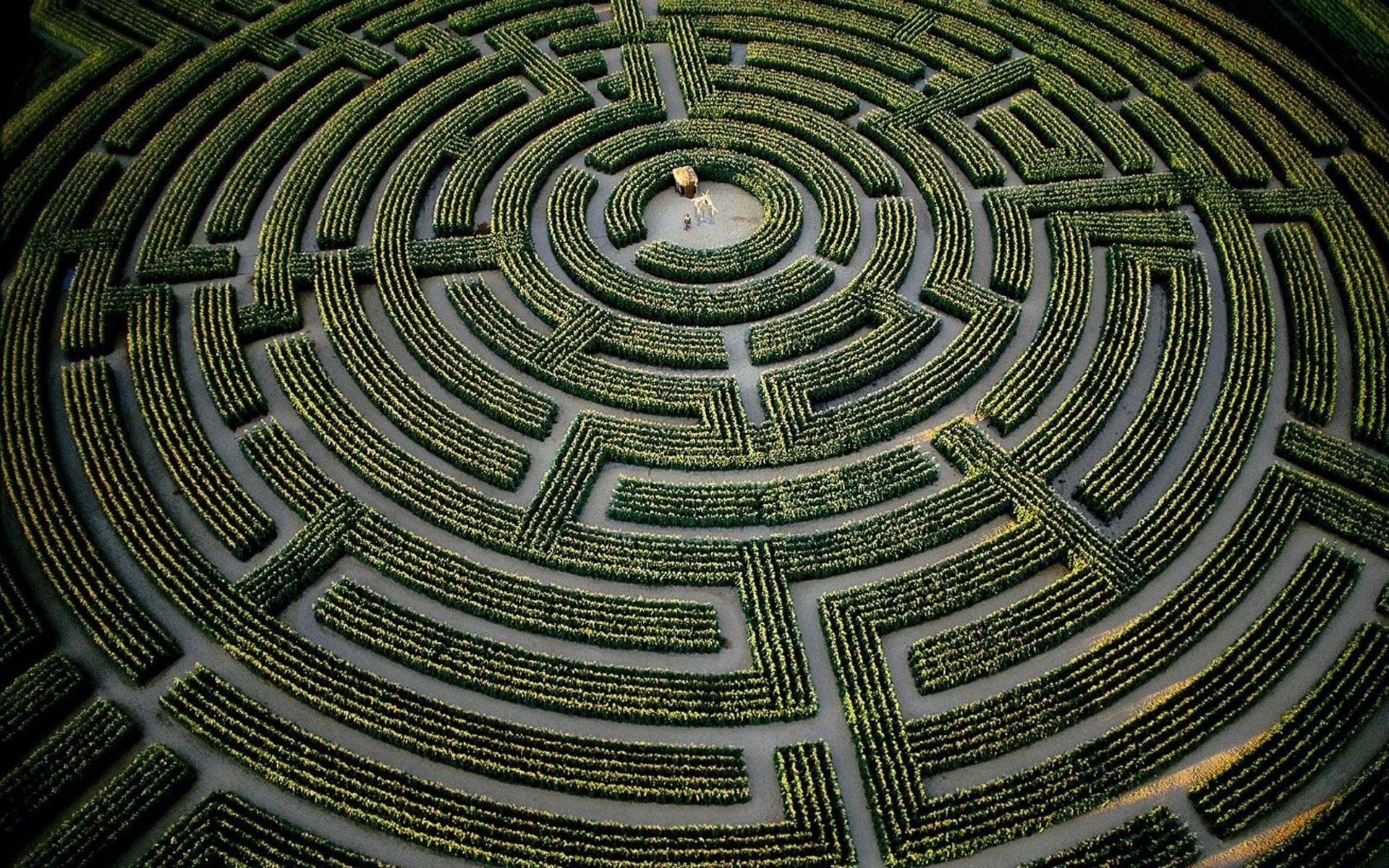 The maze (2014) [pc игры, logic] / скачать бесплатно