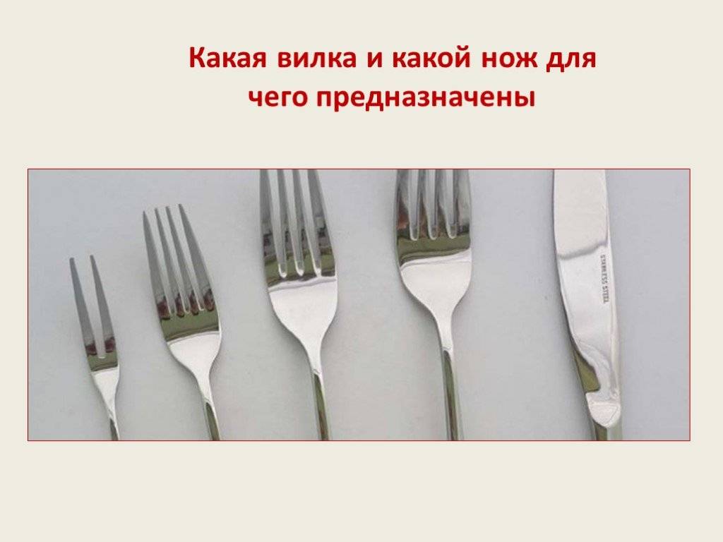 Виды вилок и их назначения — общие правила столового этикета